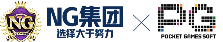 NG集团